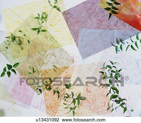 Paper and leafy branches View Large Photo Image Stock Image - Paper and leafy branches. Fotosearch