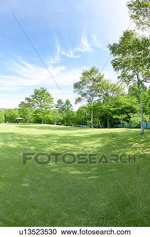 Stock Image - Park field, Karuizawa, Nagano Prefecture, Japan. Fotosearch