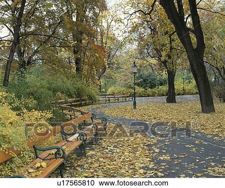 Stock Image - Park in Autumn, Austria. Fotosearch