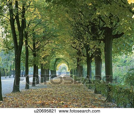 Stock Image - Park in Autumn, Vienna, Austria. Fotosearch