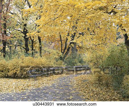 Park in Autumn, Vienna, Austria View Large Photo Image Stock Image - Park in Autumn, Vienna, Austria. Fotosearch