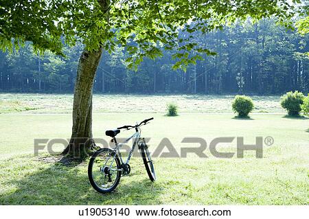 Stock Image - Parked bicycle in a park. Fotosearch