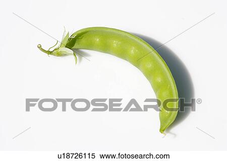 Stock Photography - Pea pod. Fotosearch