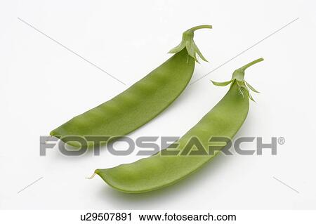 Pea pods View Large Photo Image Stock Image - Pea pods. Fotosearch