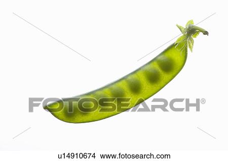 Peas View Large Photo Image Picture - Peas. Fotosearch
