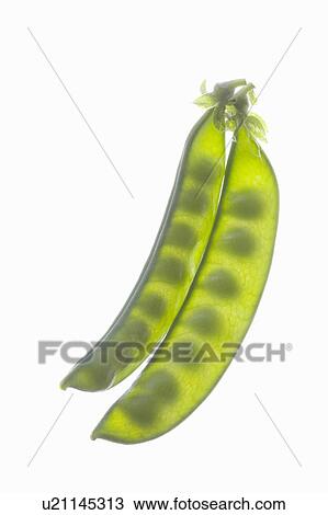 Peas View Large Photo Image Stock Image - Peas. Fotosearch