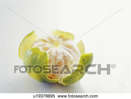 Stock Photography - Peeled mandarin. Fotosearch