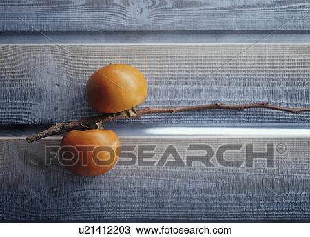 Stock Image - Persimmons growing on a branch. Fotosearch