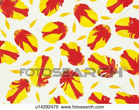 Stock Photography - Petal pattern. Fotosearch