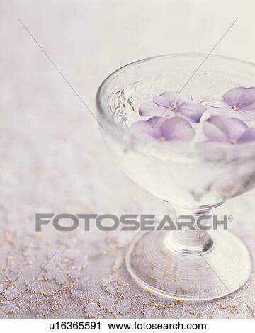 Petals floating in glass of water View Large Photo Image Stock Image - Petals floating in glass of water. Fotosearch