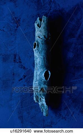 Piece of wood on blue background View Large Photo Image Stock Image - Piece of wood on blue background. Fotosearch