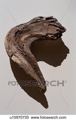 Stock Image - Piece of wood on white background. Fotosearch