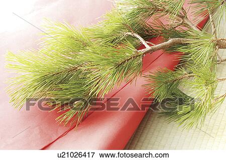 Stock Photo - Pine branch. Fotosearch