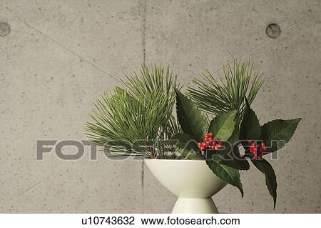 Pine branches and sacandra glabra in a white vase View Large Photo Image Stock Image - Pine branches and sacandra glabra in a white vase. Fotosearch