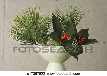 Pine branches and sacandra glabra in a white vase View Large Photo Image Stock Image - Pine branches and sacandra glabra in a white vase. Fotosearch
