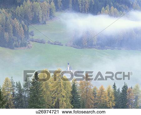 Pine tree forest and a small church, Dolomites, Italy View Large Photo Image Stock Image - Pine tree forest and a small church, Dolomites, Italy. Fotosearch