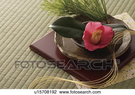 Stock Image - Pink camellia arranged in a bowl with mizuhiki cord and a pine branch. Fotosearch