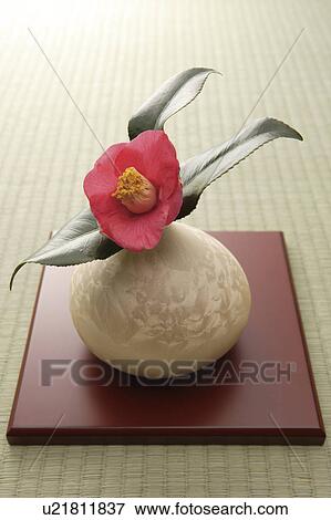 Stock Photo - Pink camellia in a vase on a wooden square. Fotosearch