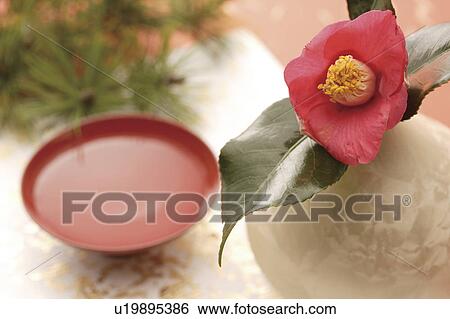 Stock Photograph - Pink camellia next to a cup of saki. Fotosearch