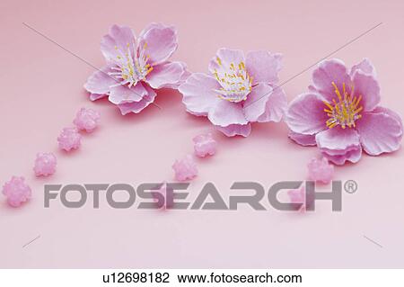 Pink flowers and kompeito candy View Large Photo Image Stock Image - Pink flowers and kompeito candy. Fotosearch