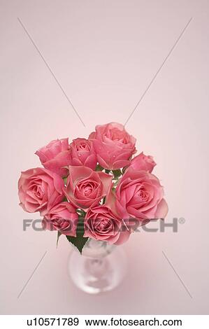 Pink roses in a vase View Large Photo Image Stock Photo - Pink roses in a vase. Fotosearch