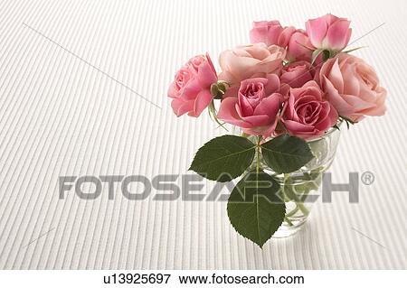 Pink roses in a vase View Large Photo Image Stock Photo - Pink roses in a vase. Fotosearch