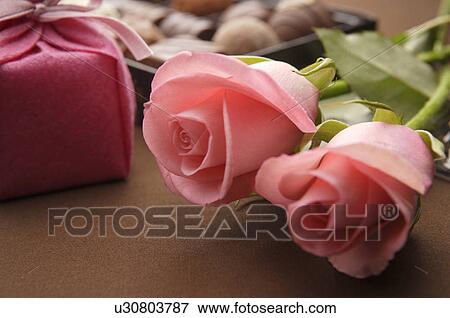 Pink roses with a gift box and a box of chocolates View Large Photo Image Stock Photo - Pink roses with a gift box and a box of chocolates. Fotosearch