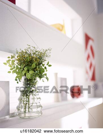 Plant on a shelf View Large Photo Image Stock Image - Plant on a shelf. Fotosearch