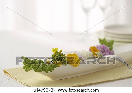 Plate of edible flowers View Large Photo Image Stock Photo - Plate of edible flowers. Fotosearch