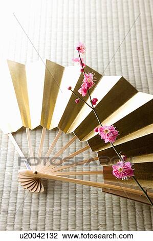 Stock Image - Plum blossoms and a folding fan. Fotosearch