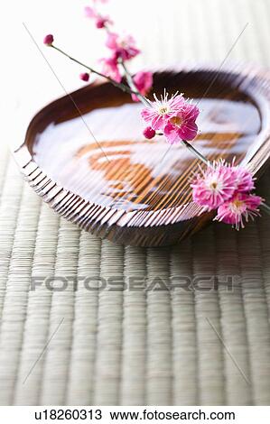 Stock Image - Plum blossoms in a wooden bowl. Fotosearch