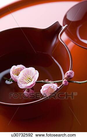 Plum blossoms on a sake cup View Large Photo Image Stock Image - Plum blossoms on a sake cup. Fotosearch