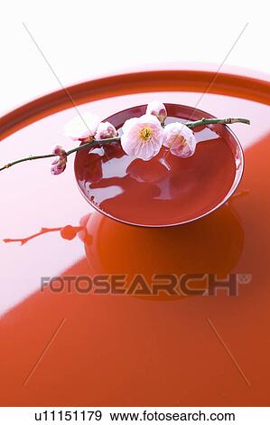 Plum blossoms on a sake cup View Large Photo Image Stock Photo - Plum blossoms on a sake cup. Fotosearch