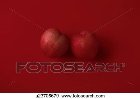Plums View Large Photo Image Stock Photo - Plums. Fotosearch