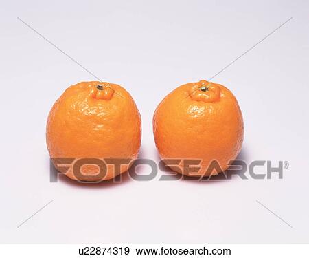 Stock Photo - Ponkan oranges. Fotosearch