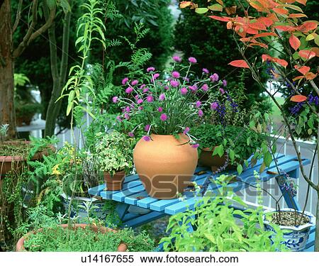 Potted plants on picnic table View Large Photo Image Stock Photography - Potted plants on picnic table. Fotosearch