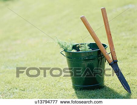 Pruning shears and bucket on lawn View Large Photo Image Stock Photo - Pruning shears and bucket on lawn. Fotosearch