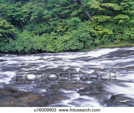 Stock Image - Rapids in river, Nikko, Tochigi Prefecture, Japan. Fotosearch