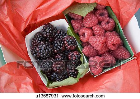 Raspberries and blackberries View Large Photo Image Stock Image - Raspberries and blackberries. Fotosearch