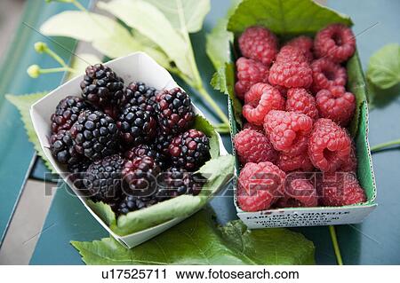 Raspberries and blackberries View Large Photo Image Stock Image - Raspberries and blackberries. Fotosearch