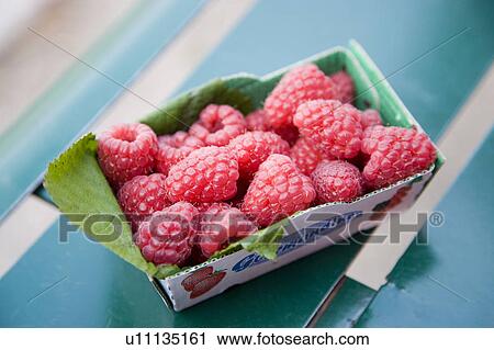 Raspberries View Large Photo Image Stock Image - Raspberries. Fotosearch