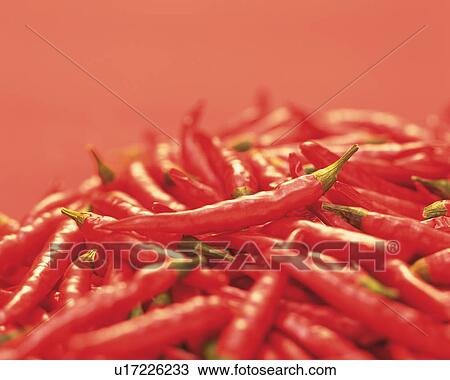 Red chilies View Large Photo Image Stock Image - Red chilies. Fotosearch