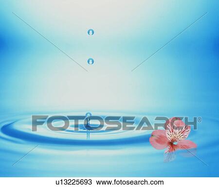 Stock Image - Ripple and a pink orchid. Fotosearch