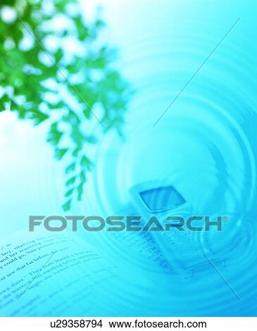Picture - Ripple and tree branch over mobile phone and a book. Fotosearch
