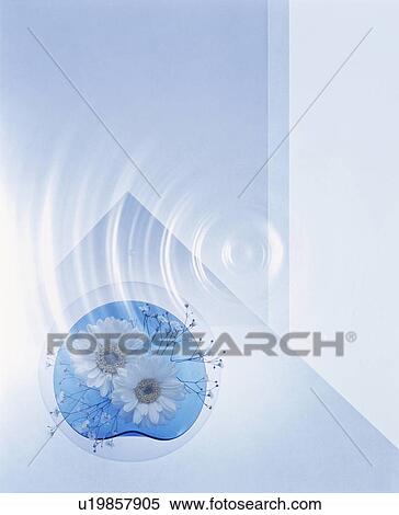 Ripple over plate of flowers View Large Photo Image Stock Photography - Ripple over plate of flowers. Fotosearch