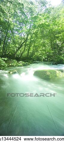 Picture - River in a forest. Towada, Aomori Prefecture, Japan. Fotosearch