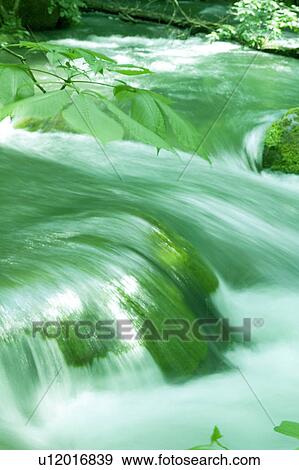 River in a forest. Towada, Aomori Prefecture, Japan View Large Photo Image Stock Photo - River in a forest. Towada, Aomori Prefecture, Japan. Fotosearch