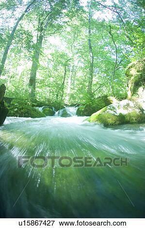 Stock Photo - River in a forest. Towada, Aomori Prefecture, Japan. Fotosearch