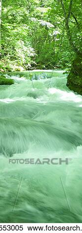 River in a forest. Towada, Aomori Prefecture, Japan View Large Photo Image Stock Photography - River in a forest. Towada, Aomori Prefecture, Japan. Fotosearch