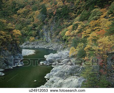 Stock Image - River running through forest. Kinugawa River, Tochigi Prefecture, Japan. Fotosearch